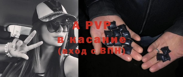 спайс Каменка