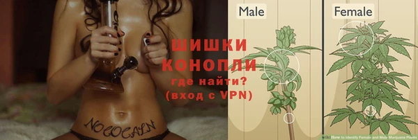 ECSTASY Каменск-Шахтинский