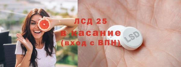 спайс Каменка