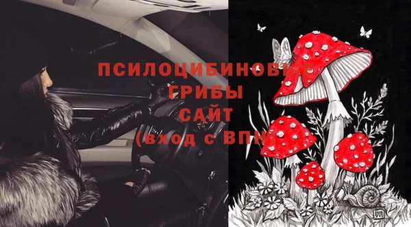 ECSTASY Каменск-Шахтинский