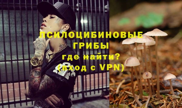 спайс Каменка