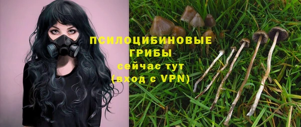 молекула духа Иннополис