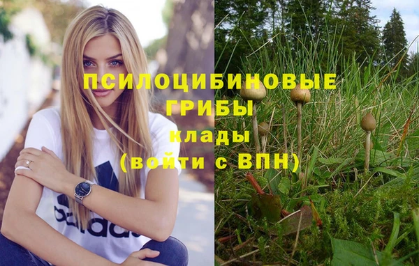 винт Каменногорск